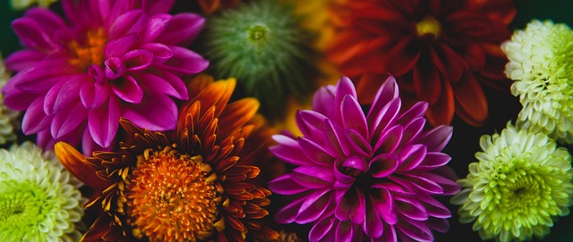 NBA那些拥有非常人身材的球员