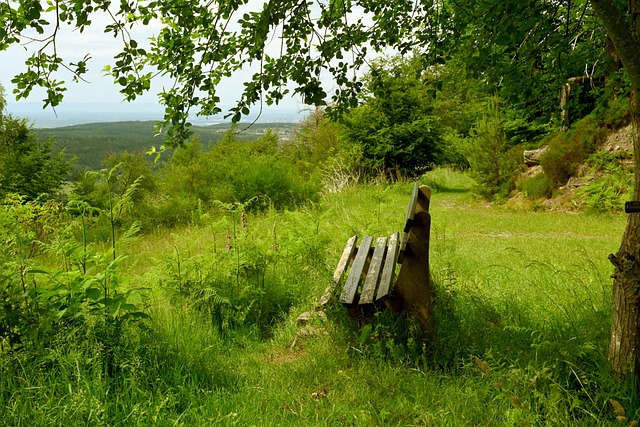 世体：费尔明今日训练后感觉良好，将入选对阵贝蒂斯名单
