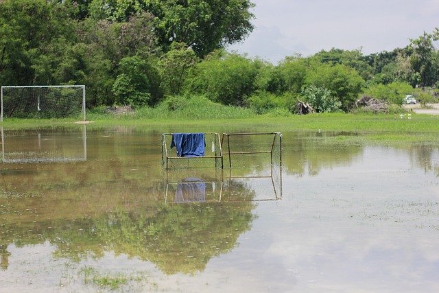 作为一位来 作为一位来