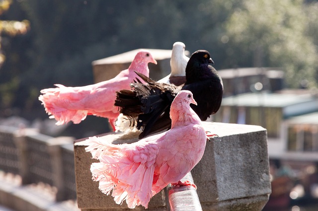 来科技的无 来科技的无