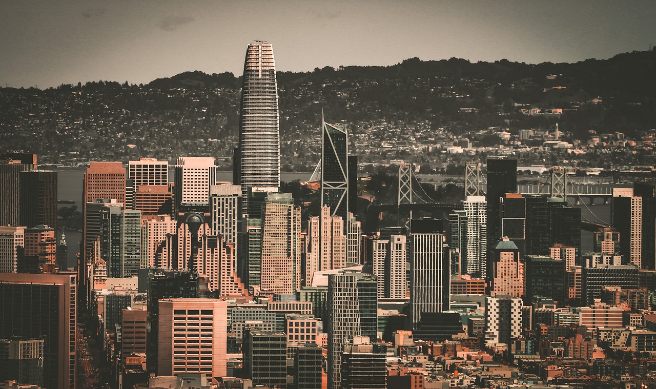 他们在本届 他们在本届