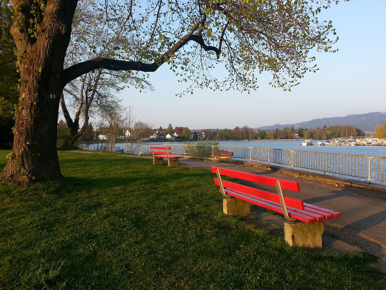 仅展现了他 仅展现了他