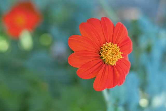 聯賽中站穩 聯賽中站穩